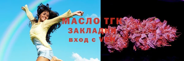 PSILOCYBIN Аркадак