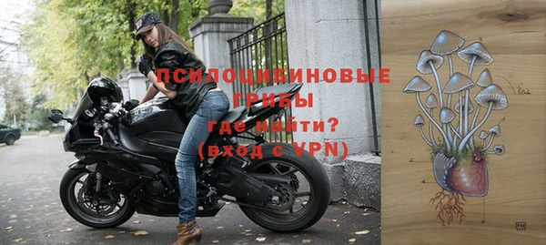 эйфоретик Арсеньев