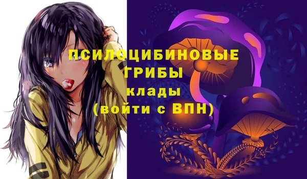эйфоретик Арсеньев