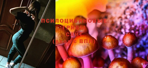 PSILOCYBIN Аркадак