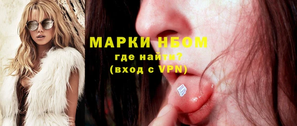 PSILOCYBIN Аркадак