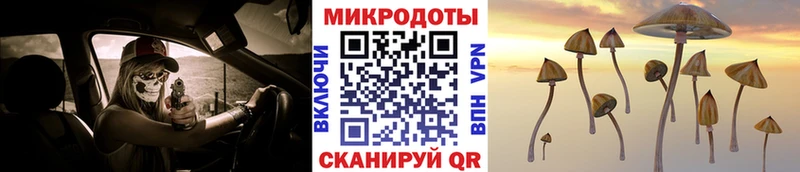 Галлюциногенные грибы прущие грибы  Сортавала 